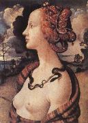 Portrait of Simonetta vespucci